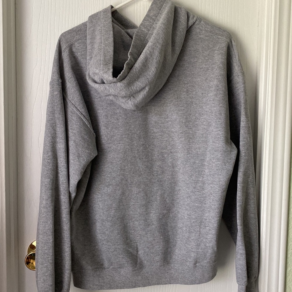 Virginity Rocks Hoodie - Picture 2 of 3